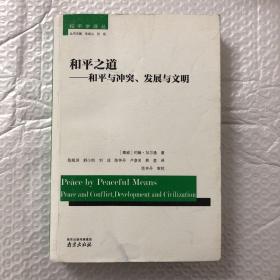 和平之道 : 和平与冲突、发展与文明