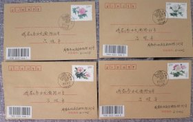 木芙蓉首日实寄封全套4枚成都芙蓉花首日原地戳成都市花芙蓉花