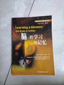 脑的学习与记忆