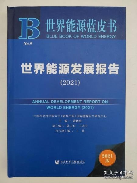 世界能源蓝皮书：世界能源发展报告（2021）