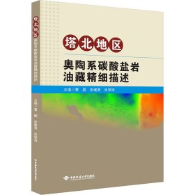 塔北地区奥陶系碳酸盐岩油藏精细描述 能源科学 作者 新华正版