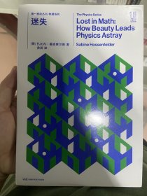 第一推动丛书物理系列:迷失