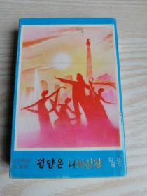 朝鲜原版-평양은나의심장- 磁带（朝鲜文）