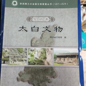 陕西省第三次全国文物普查丛书. 榆林卷. 府谷文物(8本合售)