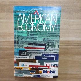 AN OUTLINE OF THE AMERICAN ECONOMY