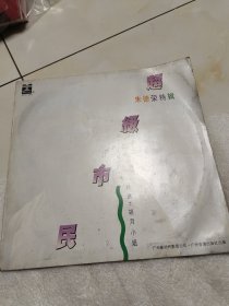 朱德荣超级市民黑胶唱片