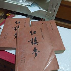 中国古典文学读本丛书红楼梦。