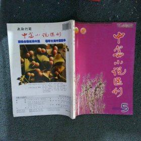 中篇小说选刊2004 5