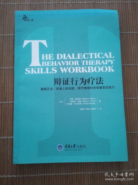 辩证行为疗法：掌握正念、改善人际效能、调节情绪和承受痛苦的技巧