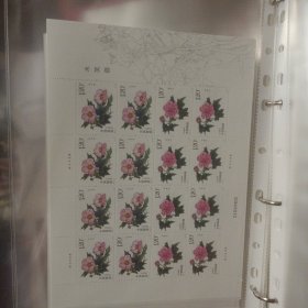 木芙蓉大版