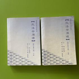 民法學(xué)原理 上下冊(cè)【修訂第三版】【一版一印】