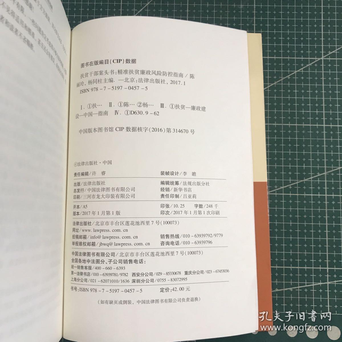 扶贫干部案头书：精准扶贫廉政风险防控指南