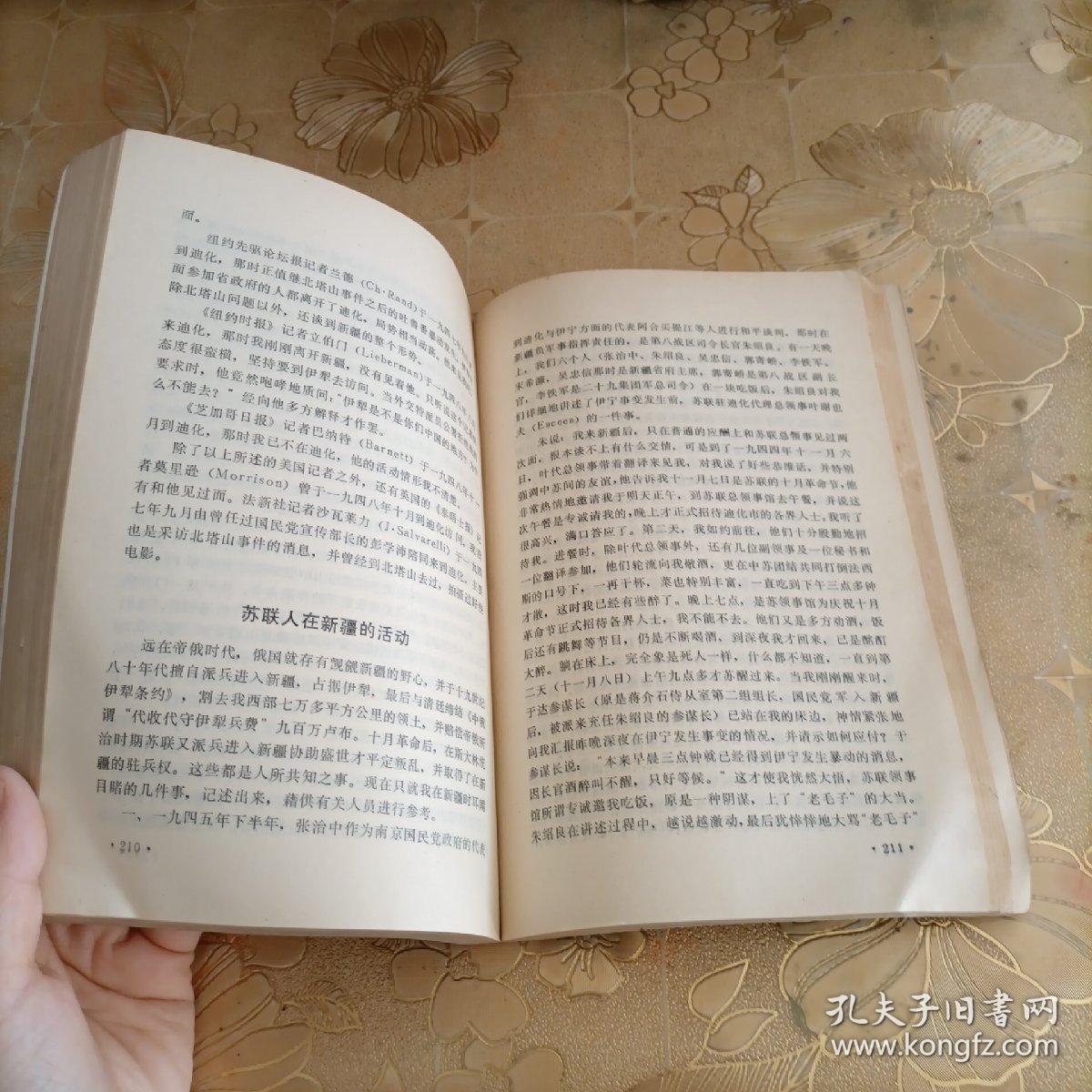 鹰犬将军— 宋希濂自述