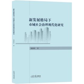 正版 新发展格局下市域社会治理现代化研究 杨新欣 9787560772783