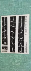 廖润甜吊环后空翻转体360度下技术分析  1965年北京体育科学研究所摄制 照片长20厘米宽15厘米