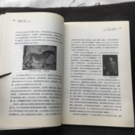 墙垣边的人类：从建筑艺术看人类文明