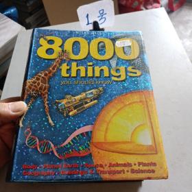 8000things