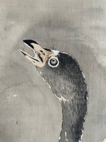 日本近代南画家渡边小华作品，雪雁图，绢本绫裱，檀木轴头，带鉴藏木箱，画心115.7*41.5。印章比对见图。盒147