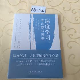 深度学习教学改进丛书 深度学习：走向核心素养（理论普及读本）