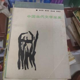 中国当代文学采英