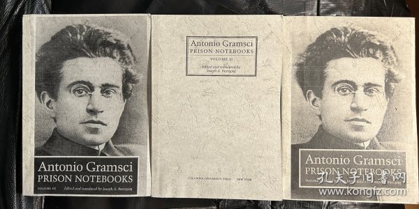 Gramsci 葛兰西《狱中札记 》Antonio Gramsci Prison Notebooks 英文版，三卷本，将近2000页，个人闲置影印资料，书脊自己手写的，内页完好，三册合售