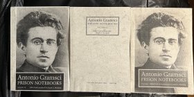 Gramsci 葛兰西《狱中札记 》Antonio Gramsci Prison Notebooks 英文版，三卷本，将近2000页，个人闲置影印资料，书脊自己手写的，内页完好，三册合售
