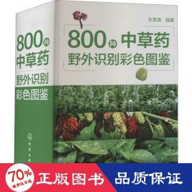 800种中草药野外识别彩图鉴 中药学 作者 新华正版