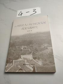 云南扶持人口較少民族發(fā)展政策實踐研究