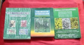 竹子播种育苗高产栽培及综合开发利用论文集 + 中国主要经济竹种丰产栽培及加工利用 + 云南最大的竹子花木种苗基地 （3册合售）