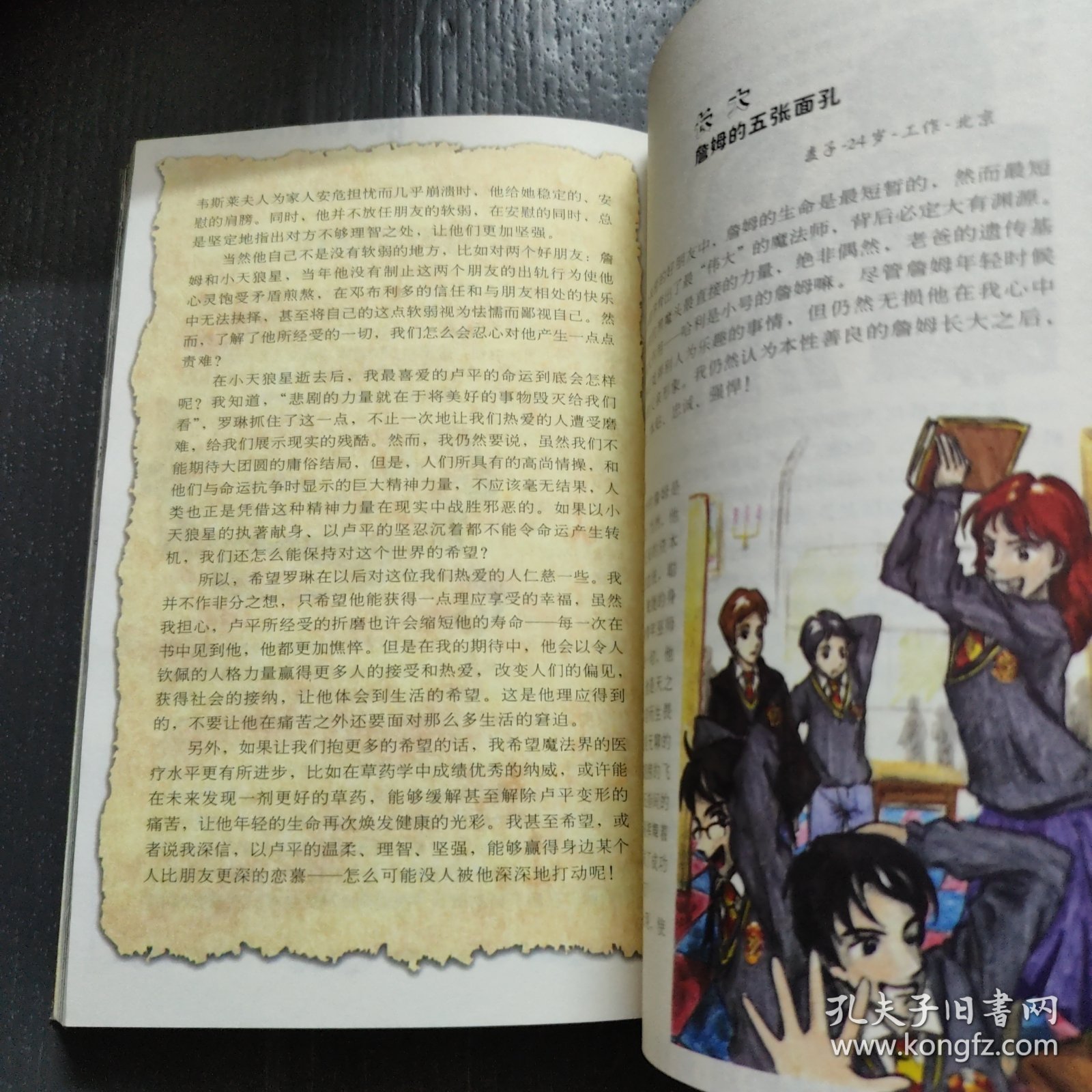 梦想之翼——我的哈利波特