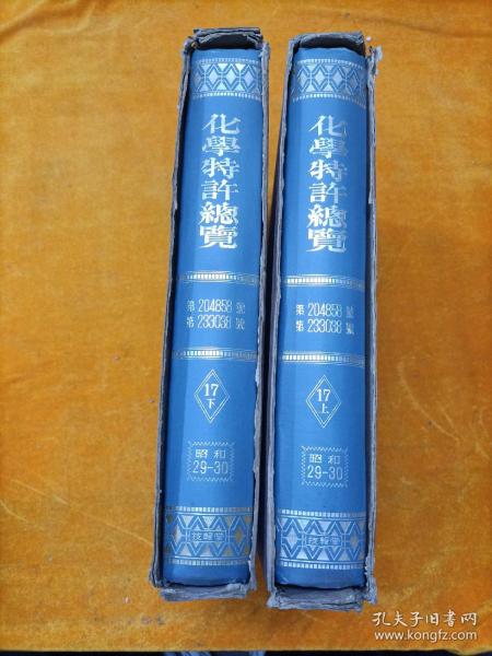 化学特许总览 17上下【带函套】