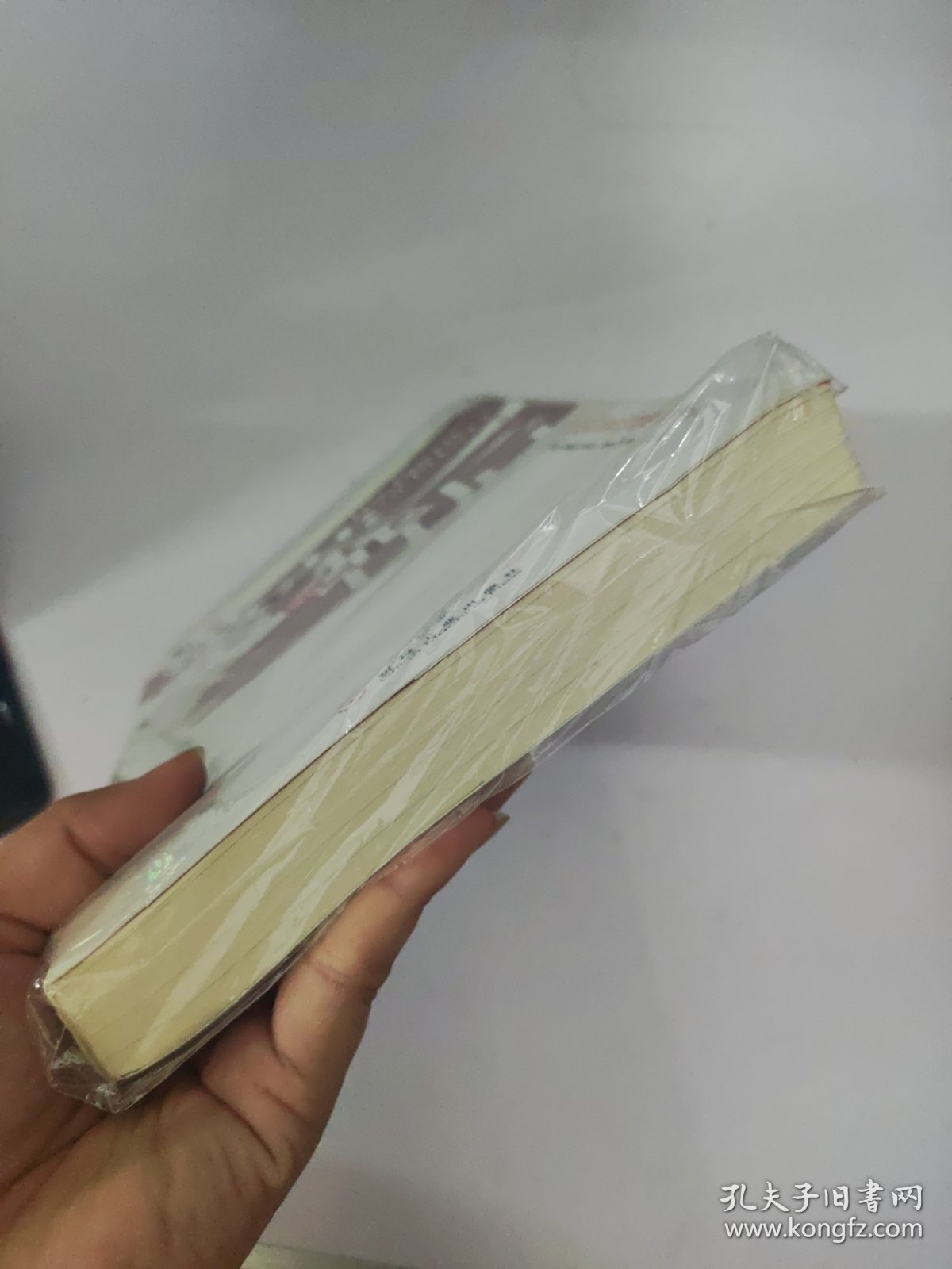 繁荣的背后：解读现代世界的经济大增长