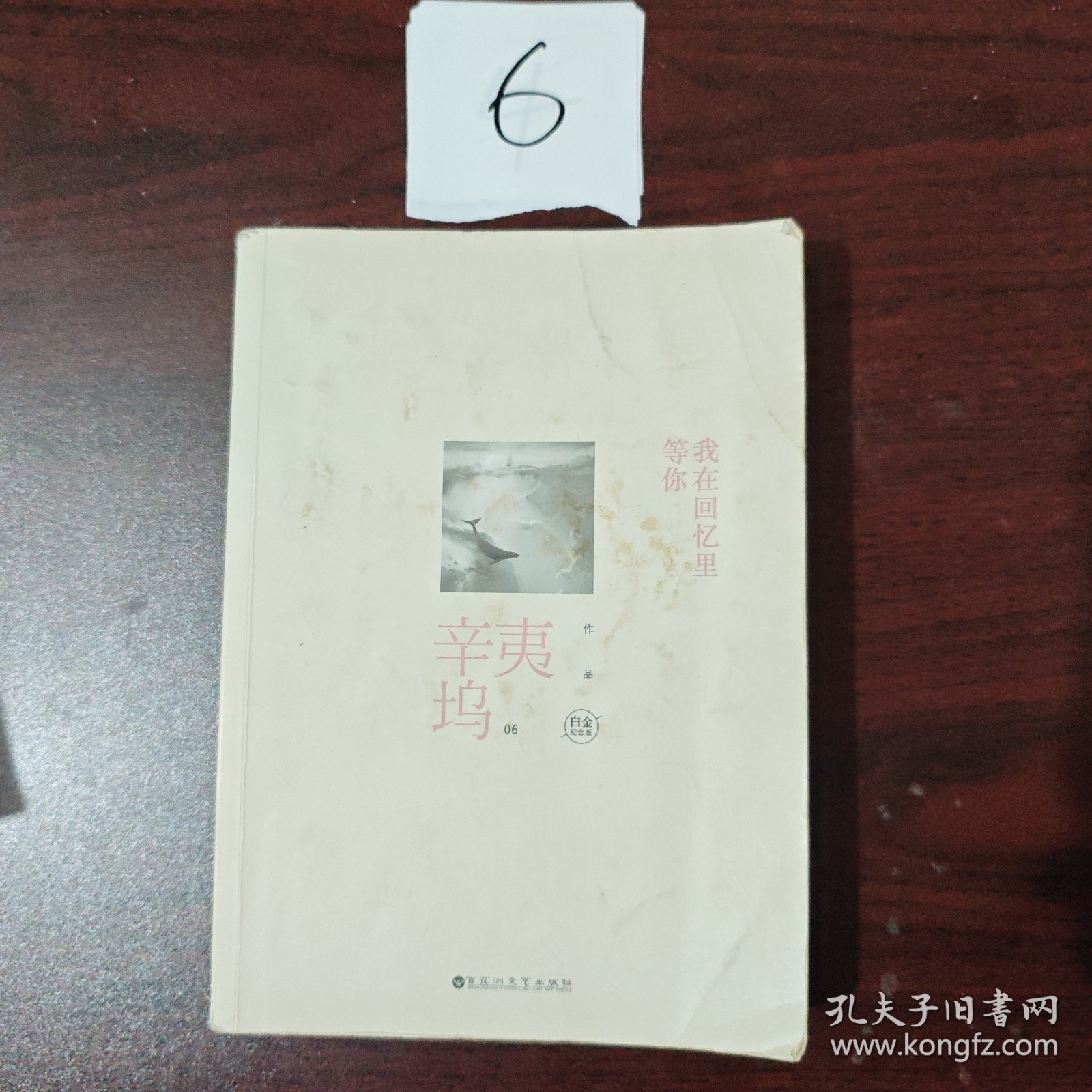 我在回忆里等你