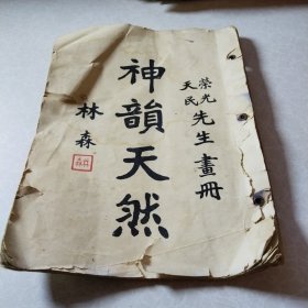 柏天民荣光画册，