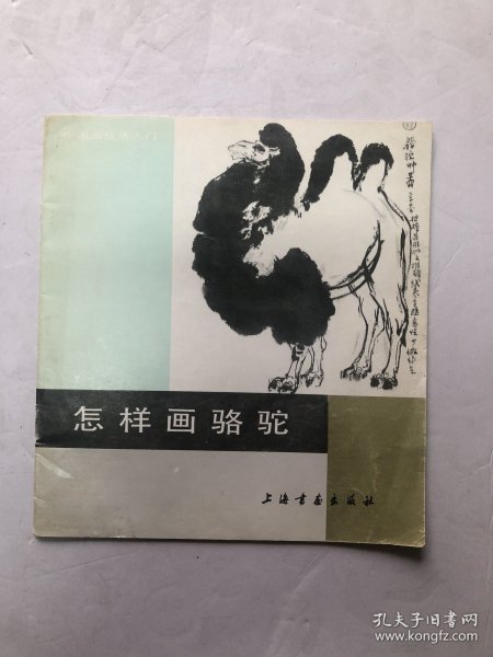 怎样画骆驼