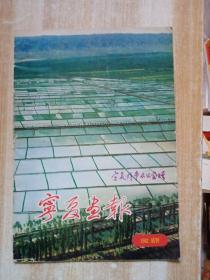 宁夏画报1982试刊