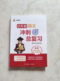 小升初语文冲刺总复习