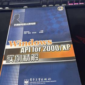 Windows API for 2000/XP实例精解（含盘）