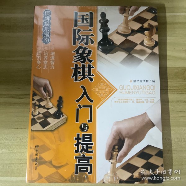 棋牌娱乐指南：国际象棋入门与提高