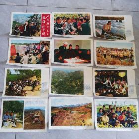 宣传画：只有社会主义能够救中国。全十二张。人民美术出版社，1976年。此画保存完好。