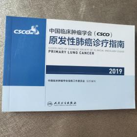 中国临床肿瘤学会(CSCO)原发性肺癌诊疗指南2019