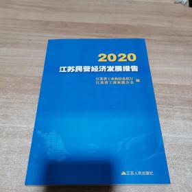 2020江苏民营经济发展报告（全新）