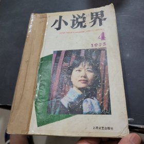 小说界1995年4~6期合订本