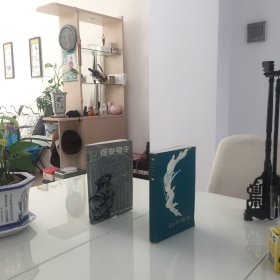 白衣侠女、保安司令