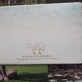 亚龙湾红树林度假酒店明信片