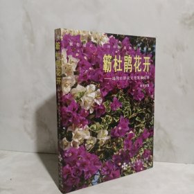 簕杜鹃花开 : 深圳市群众文化发展纪事