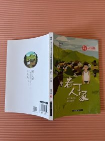 若丁人家/春潮童年：庆祝改革开放40年原创儿童文学精品书系