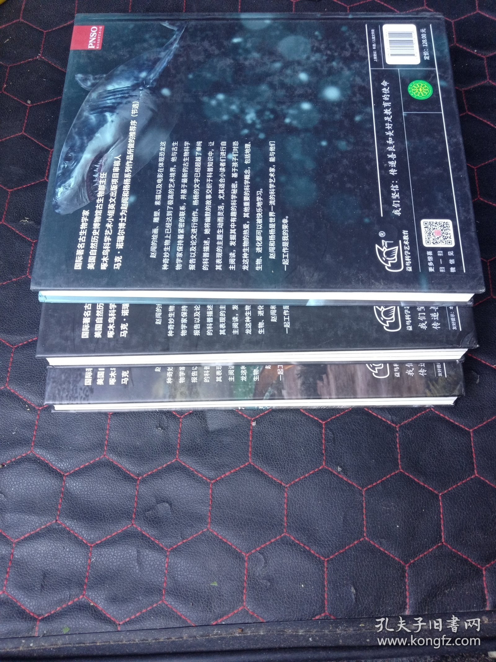 PNSO儿童百科全书：恐龙的秘密+水怪的秘密 +翼龙的秘密 (3册合售)