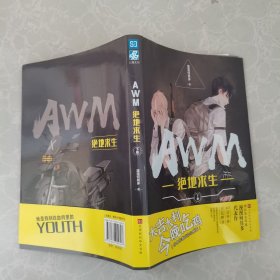 AWM绝地求生（下册）