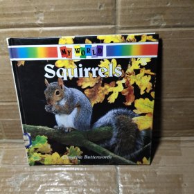 Squirrels